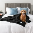 thumbnail image 6 of PetAmi Fluffy Waterproof Dog Blanket for Bed Large Dogs, Soft Warm Pet Sherpa Throw Pee Proof Couch Cover, Reversible Cat Blanket Sofa Crate Kennel Protector, Washable Mat Queen (Black, 90x90), 6 of 10