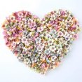 thumbnail image 1 of 100Pcs 2cm Mini Artificial Daisy Flower Head DIY Wedding Holiday Garland Decor, 1 of 10