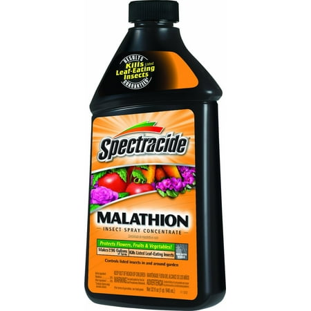 Spectracide Malathion Insect Spray Concentrate, 16-Ounce