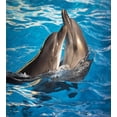 thumbnail image 3 of Ambesonne Dolphin Duvet Cover Sets, Aqua Show Photography, 2-Queen, Blue Dark Taupe, 3 of 7
