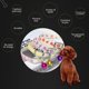 thumbnail image 1 of Collares brillantes para mascotas Wdftyju con campanas brillo nocturno para perros y gatos, 1 of 8