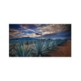 thumbnail image 3 of Pack de 4 Tequila Jose Cuervo Tradicional Plata 950 ml, 3 of 3