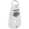 thumbnail image 1 of 1 Set of Convenient Blueberry Diameter Gauge Diameter Ruler Fruits Blueberry Diameter Ruler Measuring Tool, 1 of 2