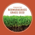 thumbnail image 5 of Pennington Bermudagrass Grass Seed, for Full Sun, 15 lb., 5 of 17