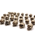 thumbnail image 3 of 20Pcs Mini Skull Model Creative Halloween Mini Skull Heads Flower Pot Decoration, 3 of 10