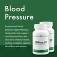 thumbnail image 6 of Stop Aging Now - OliPure BP Blood Pressure Support - Olive Leaf Extract with Celery & Magnesium - Blood Circulation, Blood Vessels & Blood Flow Supplement - 60 Vcaps, 6 of 8