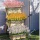 thumbnail image 5 of Blanco Paquete de 2 uds. De plantas artificiales Anti-UV para porche, plantas de plástico para exteriores, balcón en maceta, decoración de jardín y boda JM MX-0139252FYD, 5 of 5