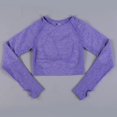 thumbnail image 1 of Conjunto de Yoga sin costuras, conjunto deportivo de 2 piezas, ropa de mujer, Top corto de gimnasia de manga larga, Leggings de cintura alta, conjunto de entrenamiento, ropa deportiva para Fitness, 1 of 5