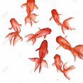 thumbnail image 3 of Poissons Rouges - Toile 24"x24 Pouces - Impression sur Demande, 3 of 5