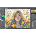 thumbnail image 3 of CLIP STUDIO PAINT PRO - Version 1 - Perpetual License - for Microsoft Windows and MacOS, 3 of 6