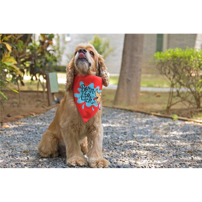lick bandanas