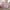 Pink, variant on Churanty Twin Size Princess Bed for Girls, Wood Princess Carriage Bed with Crown, Kids Twin Car Camping Platform Bed Frames with Stair,Purple+Pink