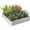 Argent, variante sur Outsunny Bac de Jardin Surélevé Galvanisé 4 Pieds x 4 Pieds x 1 Pieds, Vert Foncé