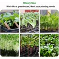 thumbnail image 4 of Bandejas de plántulas de semillas de invernadero Germinación de plantas de flores Caja de cultivo Macetas para viveros Invernaderos Jardinería, 4 of 5