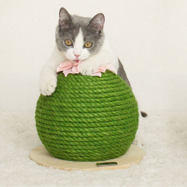 Cat Scratching Ball,Ball Shaped Cat Scratch Cat Toy Ball Shaped Cat Scratch Board Quality You Can Trust