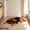 11, variant on Cute Cat Shaped Rugs, Washable Soft Plush & Absorbent Floor Mat, Funny Cartoon Cat Carpet, For Entryway Rug Bathroom Tub, Shower Sink Kitchen Bedroom,E