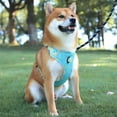 thumbnail image 4 of BadPiggies Reflective Dog Harness No Pull Pet Vest Breathable Chest Harnesses Adjustable for Small Medium Large Dogs Cats, 4 of 10