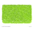 thumbnail image 1 of 4-Shaggy Raggy Lime Lime 2.8X4.8, 1 of 1