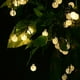 thumbnail image 5 of Cadena de luz solar de 9,5 m, 50 bolas de bombilla LED, luces de vacaciones, luces decorativas de jardín para acampar al aire libre Zhivalor BST3046964-1, 5 of 6