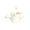 White, variant on Mini Iron Watering Can, Portable Household Sprinkling Pot, Single Hand Gardening Tool, Lightweight Water Container for Indoor Outdoor Potted Plant Care, Size 6.3x2.83 Inch