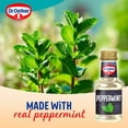 thumbnail image 5 of Dr. Oetker Natural American Peppermint Extract 35ml, British Import (Pack of 2), 5 of 5