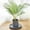 Gray, variant on Specollect Plastic Roller Heavy Duty Trolley Planter Caddy with Wheels Capacity,With Wheels Rolling Stand Plant Pots Indoor and Out Door, Adjustable Movable