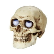 Small Skull with Rolling and Bulging Eyes Halloween Figurine Decoration New