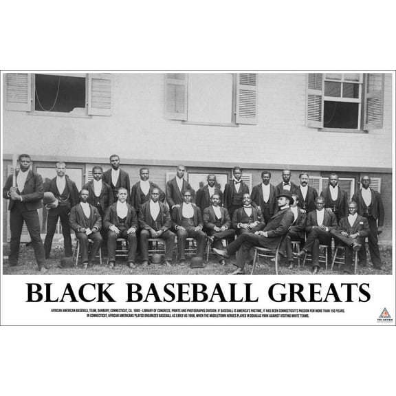 Black Baseball Greats Poster African American History Print (17x11)