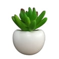 thumbnail image 3 of GENEMA Simulation Plant Refrigerator Sticker Mini Bonsai Succulent Magnet Label, 3 of 15