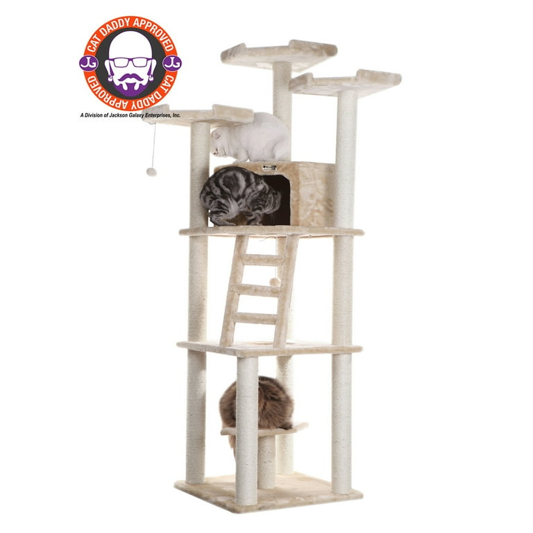 Cat tree top 80 inches