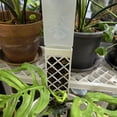 thumbnail image 7 of Rirozkan Self Watering Spikes, Adjustable Flow Plants Waterer, Automatic Drip Irrigation Stakes for Potted Plants and Vacation Plants Care, 7 of 7