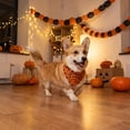 thumbnail image 4 of 1 Pcs Halloween Dog Bandanas, Triangle Dog Scarf Pumpkin Spider Bat Ghost Pet Bandana Bibs Handkerchief For Small Medium Large Dogs Puppy Halloween Holiday Birthday Party Supply, 4 of 6