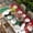 Red Green White, variant on Blue Snowman Christmas Table Cloths for 6 Foot Rectangle Tables, Xmas Tree Snowflake Winter Rustic Elk Patio Waterproof Elastic Fitted Tablecloths, Washable Rectangular Table Cover for Camping