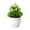 White, variant on Potted Artificial Greenery,Realistic with Flowers for Home Desk Decor,Small Indoor Tabletop Decorations for Bathroom,Farmhouse,Shelf Centerpiece,Mother's Day,Christmas Gifts