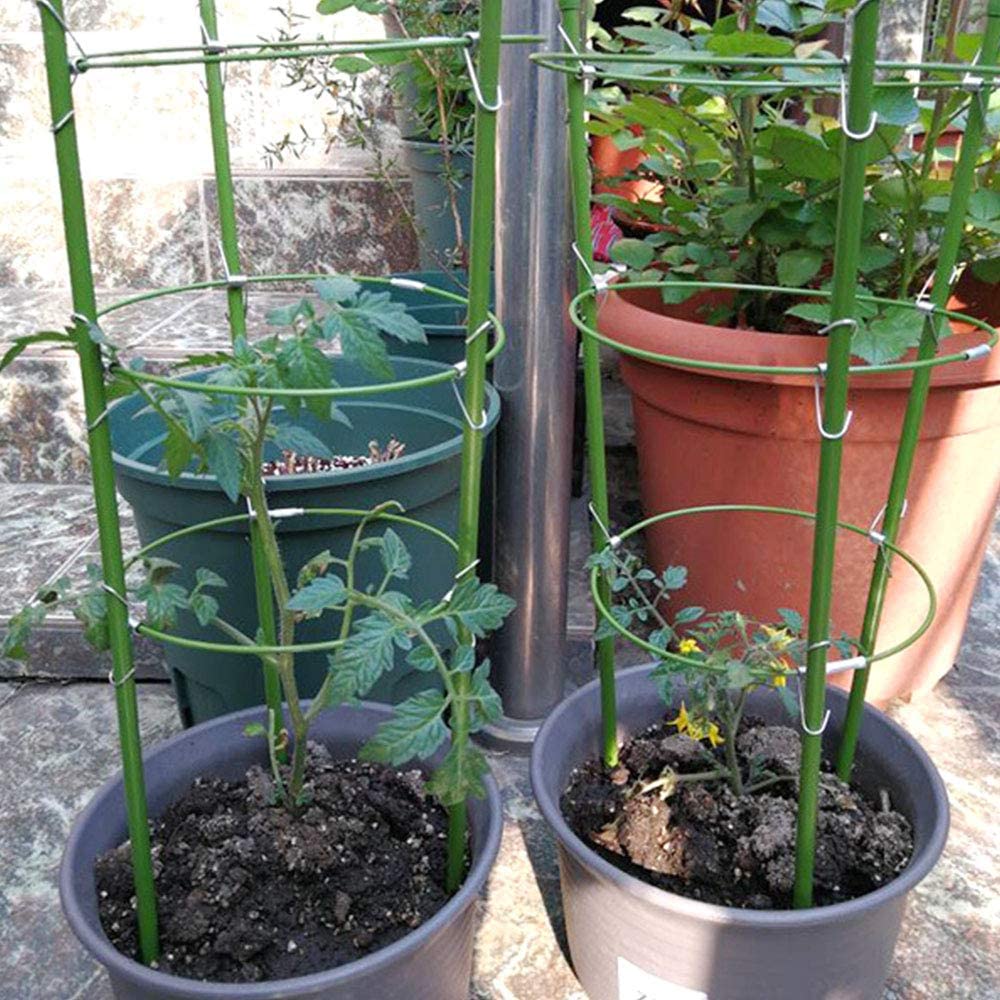 Kit 2 Cages à Tomates Ajustables 40-120 Cm - Support Plantes Grimpantes - Potager Et Balcon