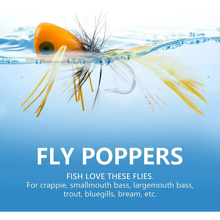 Dry Fly Fishing Popper Lure Kit, 15Pcs Fly Bug Lures Steelhead Flies Bass  Bug Poppers Flies Trout Fly Fishing Flies Lure Assortment for Bass Panfish