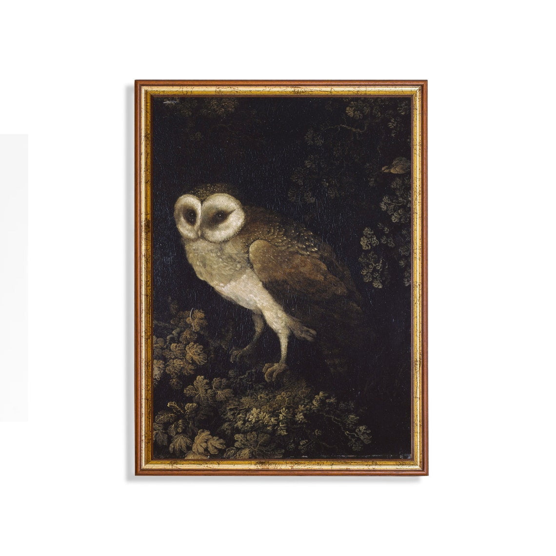 Vintage Barn Owl Dark Forest Wall Art Print Rustic Cottagecore Living Room And Gallery Wall Decor