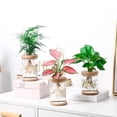 thumbnail image 3 of 2Pcs Clear Hydroponic Flower Pot Planter for Grow Small Potted Plants, 3 of 8