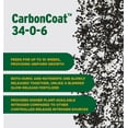thumbnail image 6 of The Andersons Professional-Grade CarbonCoat 34-0-6 Slow-Release Fertilizer (18 lb. Bag), 6 of 7