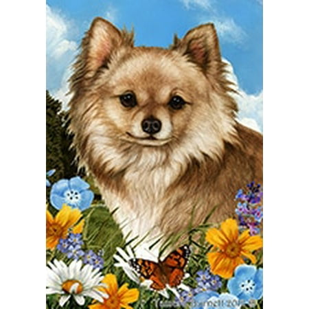 Chihuahua Garden Flag - Chihuahua Longhaired Fawn - Best of Breed Summer Flowers Garden Flags