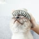 thumbnail image 3 of EeaseMX Cepillo de baño de silicona para mascotas, cepillo masajeador para cachorros, herramienta para limpiar el pelo de las mascotas (gris), 3 of 7