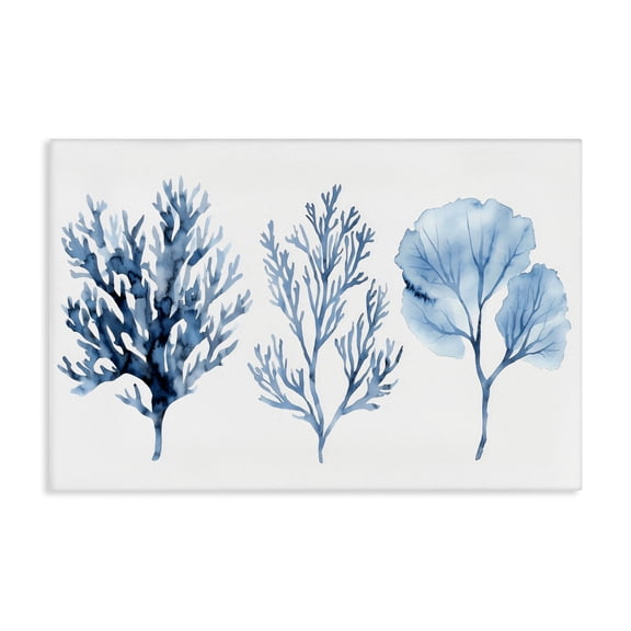 Stupell Industries Blue Coral Types Trio Canvas Wall Art, design by LSR Design Studio, 30 x 45