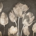 thumbnail image 2 of Villa, Luca 26x26 White Modern Wood Framed Museum Art Print Titled - Washed Tulips II, 2 of 4