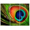 thumbnail image 1 of Design Art - Peacock Feather, 1 of 1