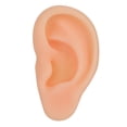 thumbnail image 1 of Modelo de oreja, modelo de oreja simulada profesional, herramienta de enseñanza de oreja, modelo de acupuntura de oreja, grado profesional, 1 of 5