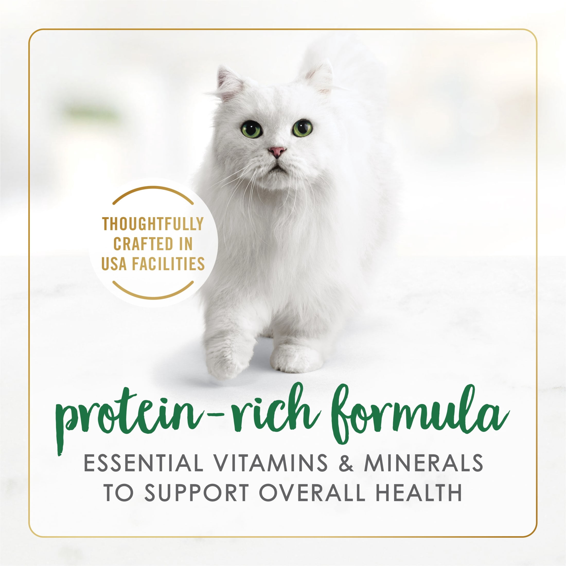 (6 pack) Purina Fancy Feast Chicken Feast Chunky Wet Cat Food, 3 oz Can