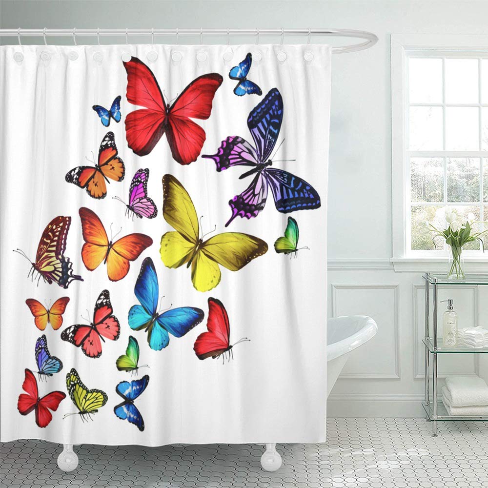 KSADK Blue Butterfly Many Different Butterflies White Colorful Flying