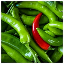 Everwilde Farms - 1/4 lb Serrano Hot Pepper Seeds - Gold Vault Bulk Seed Packet
