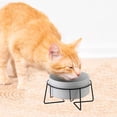 thumbnail image 4 of Elevated Cat Bowls for Indoor Cats - Food Bowl & Holder for Cats Dogs Raised Metal Wire Stand, 4 of 5