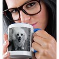 thumbnail image 2 of 3dRose, white poodle, 15oz Two-Tone Blue Mug, 2 of 7